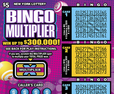 BINGO MULTIPLIER              