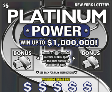 PLATINUM POWER                